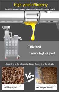 เครื่องกดน้ำมันสแตนเลสพร้อมตัวกรองน้ำมัน เครื่องกดน้ำมันมะพร้าวอะโวคาโด ผู้ผลิตอุปกรณ์ทำอาหาร - Product Image 3