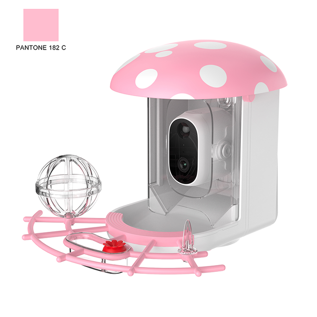Outdoor Colorful Solar Powered AI Bird Identification Detection Smart Notification Bird Feeder with CCTV IP HD Camera