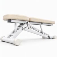 Banc de musculation multifonctionnel en plastique, inclinable et réglable, pour exercices de musculation