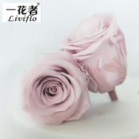 Cina Pabrik Pasokan Grosir 5-6Cm Abadi Kepala Bunga Diawetkan Rose