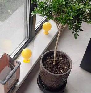 Piège à mouches des fruits petit insecte volant <span class=keywords><strong>tuer</strong></span> enlèvement intérieur moustique Buster cuisine <span class=keywords><strong>moucheron</strong></span> légionnaire balle piège mouche en gros - Product Image 4