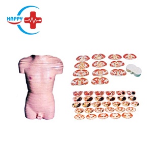 Mô hình y tế HC-S275 Tài liệu giảng dạy Mô hình giải phẫu Mô hình mặt cắt thân người nam - Product Image 1