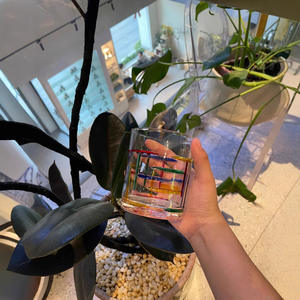 Taza de Cerveza de Vidrio de Sodio y Calcio Ecológica y Colorida con Diseño de Color Sólido para Bebidas Frías y Uso Doméstico en Verano - Product Image 5