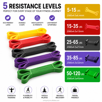 Bandas de Resistencia para Dominadas sin Barra, Mejores Bandas para Asistencia en Dominadas, Bandas de Crossfit para Dominadas, Bandas de Resistencia para Gimnasio en Casa, OEM
