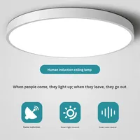 Éclairage LED moderne pour couloir Éclairage de plafond Radar intelligent Détecteur de mouvement et commande vocale pour entrée Escalier Corps en fer