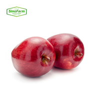 Apple merah segar kelas atas harga bagus Apple merah paling populer buah apel merah segar apel lezat