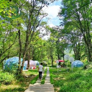 Mini Dôme Planétarium, Tente de Cinéma, Abri Solaire Extérieur, Dôme Géodésique Préfabriqué pour Événements, <span class=keywords><strong>Maison</strong></span> Bulle Préfabriquée - Product Image 4