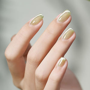Vernis à ongles gel œil de chat AILANUO 16 couleurs vert cerise lime OEM/ODM vernis à ongles gel œil de chat Hema TPO fournitures de manucure - Product Image 1