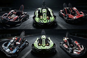 Nuovissimo <span class=keywords><strong>Go</strong></span>-<span class=keywords><strong>Kart</strong></span>/<span class=keywords><strong>Karting</strong></span> da Corsa per Adulti/Bambini a 4 Tempi 200cc/270cc/390cc di Alta Qualità e Alta Velocità a Prezzo Conveniente - Product Image 6