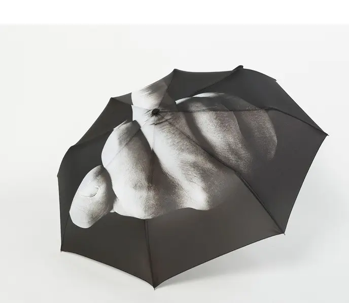 Guarda-chuva de Designer com dedo médio guarda-chuva dobrável