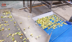 Precio favorable Bamboo Shoot Black Fungus Vegetal Washer Fruit Washer Máquina limpiadora de vegetales - Product Image 5