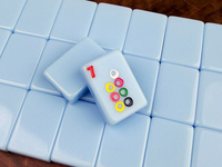 Tuiles de Mahjong américaines en acrylique bleu clair, motif floral libellule, ensemble de Mahjong personnalisé, vente en gros, jeu de société