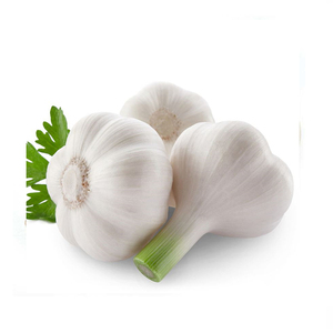 china fresh garlic new cold storage fresh garlic Price white garlic With Best Quality