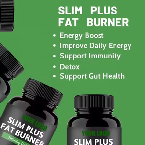 תוסף צמחים לשליטה במשקל ובטן שטוחה OEM/ODM, קפסולות תה ירוק סלים פלוס לשריפת שומן לבריאות ומשקל בריא - Product Image 5