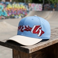 Casquette de baseball unisexe sportive et tendance en coton 100% avec logo brodé 3D Oxford personnalisé, motif à pois, fruits et léopard, 6 côtés