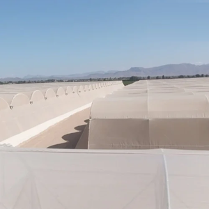 Invernadero de Plástico con Forma de Domo, Malla de Sombra de Polietileno Duradera y de Alta Resistencia, Diseño de Domo, Malla de Polietileno Resistente a los Rayos UV para Vegetales - Product Image 2