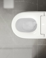 Toilette intelligente avec télécommande incluse, chasse d'eau automatique, cuvette allongée à sortie verticale, fonction lavage féminin, fabrication chinoise