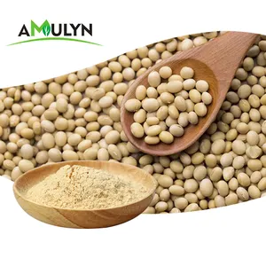 AMULYN食品添加物大豆レシチンエキス20% 50% フォスファチジルセリン粉末