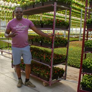 Proyecto llave en mano Contenedor agrícola vertical Suministros de invernadero Granja de contenedores de envío de cultivo de setas - Product Image 3