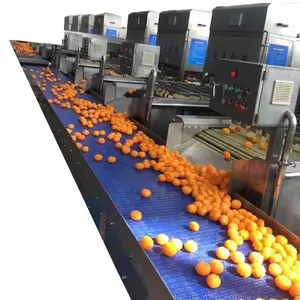 automatic electric tangerine peeling machine
