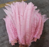 Plumes d'autruche Nandu HY 50 cm pour décoration de fête, maison, mariage, vase, bricolage, artisanat floral, chapeau, fascinateur, accessoire de coiffure