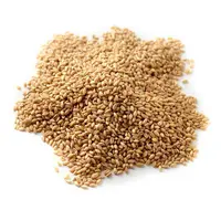Premium Quality Whole Grain Wheat for Sale, 50000 mton Buy
