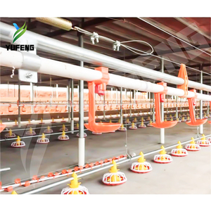 Modern Full-Automatic <strong>Chicken</strong> Broiler Floor Flat <strong>Raising</strong> Equipment Poultry Farming <strong>Chicken</strong> <strong>Feed</strong> Feeding Equipment - Product Image 5