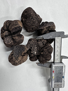 Trung Quốc bán chạy nhất màu đen Nấm cục từ Trung Quốc Vân Nam - Product Image 2