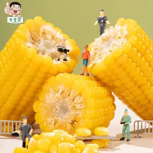 Готовая к употреблению Желтая Кукуруза в вакуумной упаковке без ГМО Кукуруза Сладкая восковая свежая кукуруза