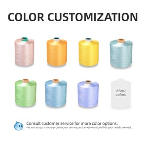 Welong Polyester Dty Dope Nhuộm Màu Polyester Filament Sợi Siêu Mềm 150D/288F Polyester Vẽ Kế<span class=keywords><strong>t</strong></span> <span class=keywords><strong>C</strong></span>ấu Sợi - Product Image 2