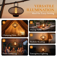 Lanterne portable en métal avec cage en fil métallique, 3 couleurs, sans fil, rechargeable, pour le camping, la terrasse, la table de chevet, lumière d'ambiance LED