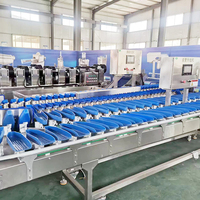 YOUBAN Automatische Weeg- en Sorteermachine voor Fruit, Groenten, Zeevruchten, Vis, Kersen, Bosbessen, Oesters en Garnalen