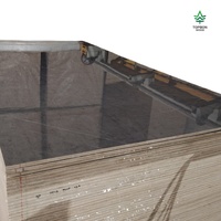 Panneau mural en PVC imperméable à l'eau avec design graphique pour la décoration de la salle de bain