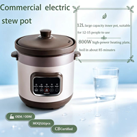Mijoteuse Électrique Automatique Grande Capacité avec Contrôle Numérique du Minuteur et Couvercle en Céramique Non Revêtue pour la Cuisson de Soupes et de Congés