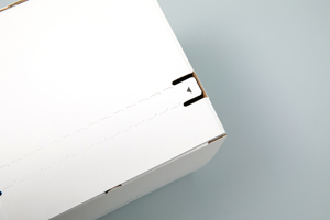 Tùy chỉnh nhỏ màu trắng sóng Hội Đồng Quản trị giấy các tông hộp bưu phẩm lá thông số kỹ thuật dập nổi tùy chỉnh bao bì vận chuyển - Product Image 3