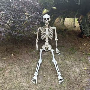 Squelettes humains d'<span class=keywords><strong>Halloween</strong></span> de bonne qualité et bon marché, <span class=keywords><strong>décoration</strong></span>, 5,4 pieds, 5 pieds, 160 cm, postures humaines, squelettes d'<span class=keywords><strong>Halloween</strong></span> - Product Image 3