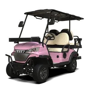 Новая заводская цена, тележки для гольфа, оптовая продажа, розовая 4-местная электрическая тележка для гольфа