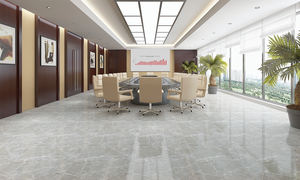 CMC Marque 600x600mm Blanc Porcelaine Intérieur Carreaux Firebrick Accents pour Villa Résistant À L'usure Antibactérien Vente En Gros - Product Image 5