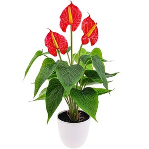 Bouquet d'Anthurium Rouge Artificiel Effet Naturel, 12 à 18 Têtes, Plante Verte Artificielle, Fleur Artificielle pour Décoration Intérieure Salon - Product Image 1