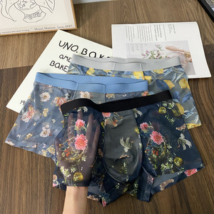 Vente chaude coloré élastique maille pleine dentelle slip Sissy <span class=keywords><strong>culotte</strong></span> Gay garçons <span class=keywords><strong>en</strong></span> caleçon hommes Boxer slips - Product Image 6