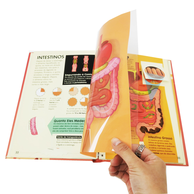 Custom Educational Activity Board Book Human Body Book for Children Learning