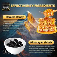 Gummies de Shilajit Or Pur avec Miel de Manuka – Complément Alimentaire Naturel pour l'Énergie et la Vitalité Quotidiennes des Adultes – 30 Gummies