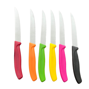 Lot économique de couteaux à steak dentelés en acier inoxydable avec manche en plastique multicolore pour la maison, les fêtes et les restaurants - Product Image 1