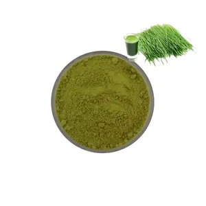 Polvo de jugo de hierba de cebada orgánica ODM/OEM a granel verde orgánico polvo de jugo de hierba de cebada de trigo