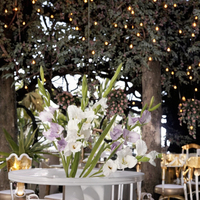Fleur artificielle en soie à 5 têtes, orchidée, décoration pour la Journée de la Terre, fleur à tige unique, orchidée en soie artificielle, vente en gros