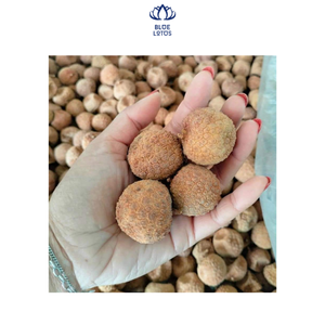 Dried Soft Lychee Yummy Snack <b>Fruit</b> 100% Dried <b>Fruit</b> Products From Vietnam - High Quality Natural Lychee Delicious - Product Image 1