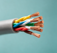 Cable de Red Ethernet UTP Cat5e de Alta Calidad para Conexión de Cámaras CCTV e IP con Soporte Poe, Revestimiento de PVC/LSZH