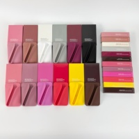 Coque de téléphone magnétique 2026 avec logo audacieux, 12 couleurs pures, nouvelle version améliorée pour gloss à lèvres, compatible Apple 18/17/16/15/14/13