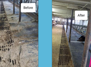 Matelas de confort supérieur <span class=keywords><strong>pour</strong></span> bétail, lit en caoutchouc <span class=keywords><strong>pour</strong></span> bétail, <span class=keywords><strong>coussin</strong></span> de couchage <span class=keywords><strong>pour</strong></span> bétail, service de découpe sur mesure - Product Image 6