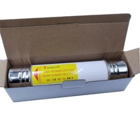Porte-fusible haute tension série F12OHFMA80 80A 12KV Fusible semi-conducteur extrême haute qualité